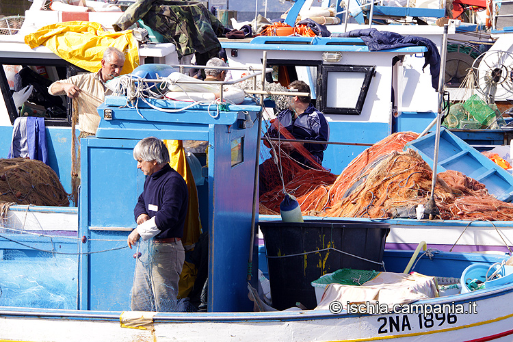 L’isola d’Ischia e l’antico mestiere della pesca