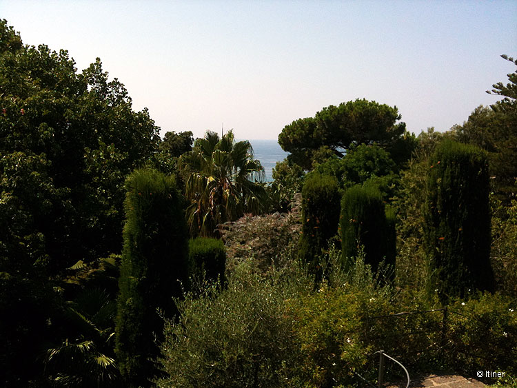 L’isola d’ischia e il suo straordinario habitat