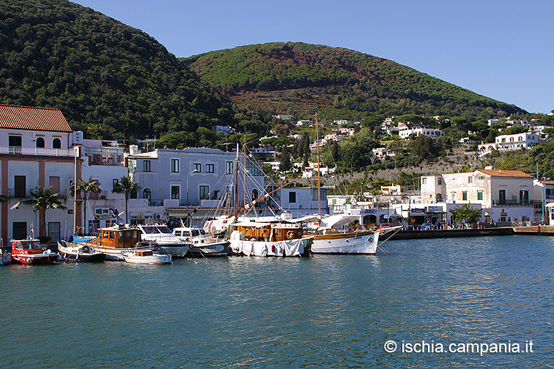 Il Porto di Ischia