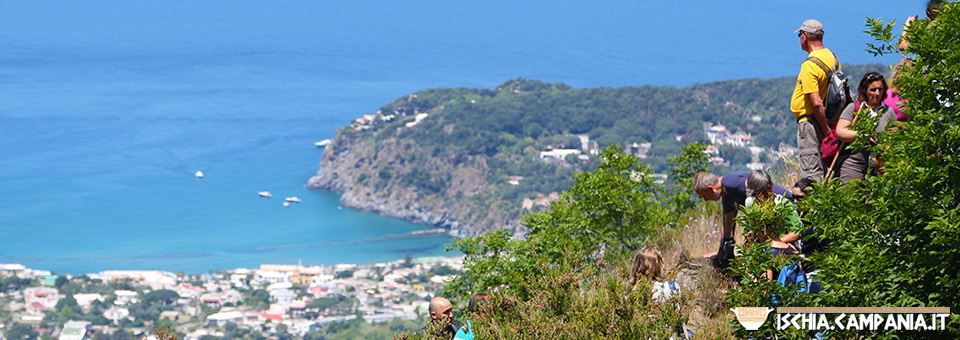 Le stagioni di Ischia