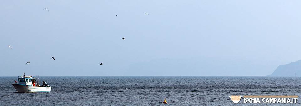 I pescatori dell’isola d’Ischia