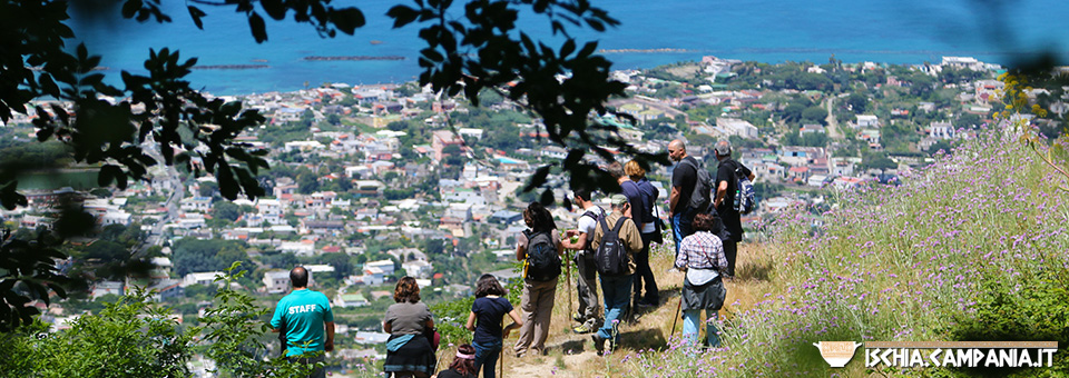 Le Fumarole di Ischia