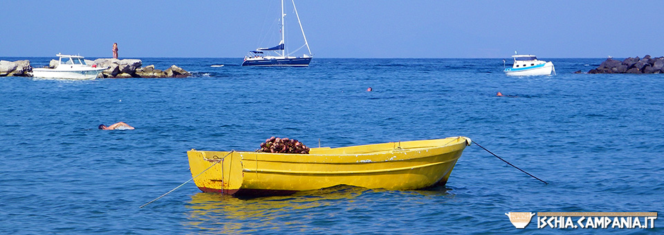 Storie di mare dell’isola d’Ischia