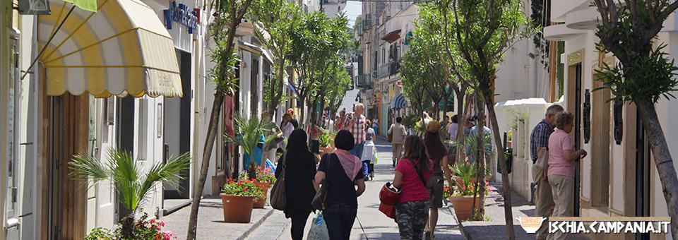 Alla scoperta di Ischia Porto