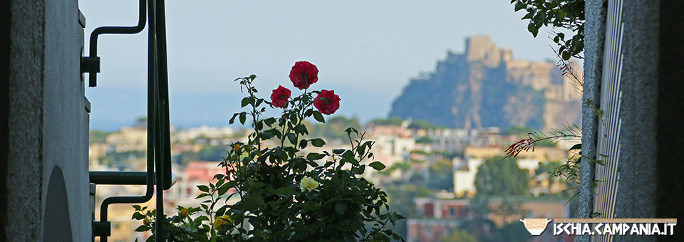 Ischia, island in the sun