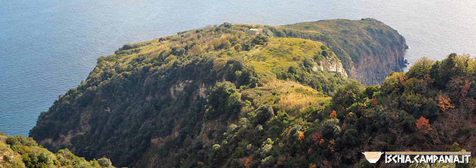 Speciale Ischia: la grande natura dell’isola