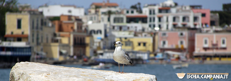 A spasso per Ischia