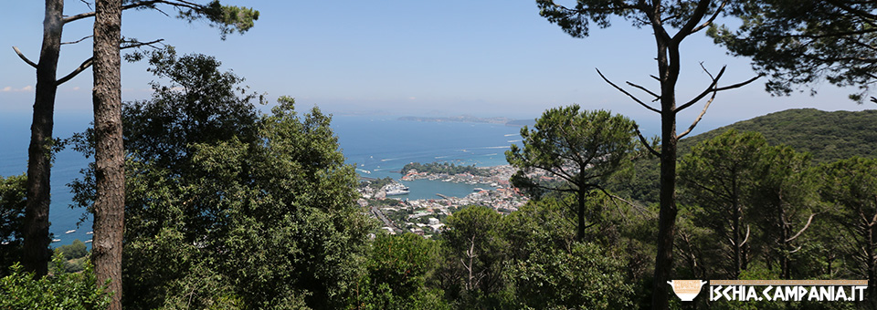 Le pinete dell’isola d’Ischia