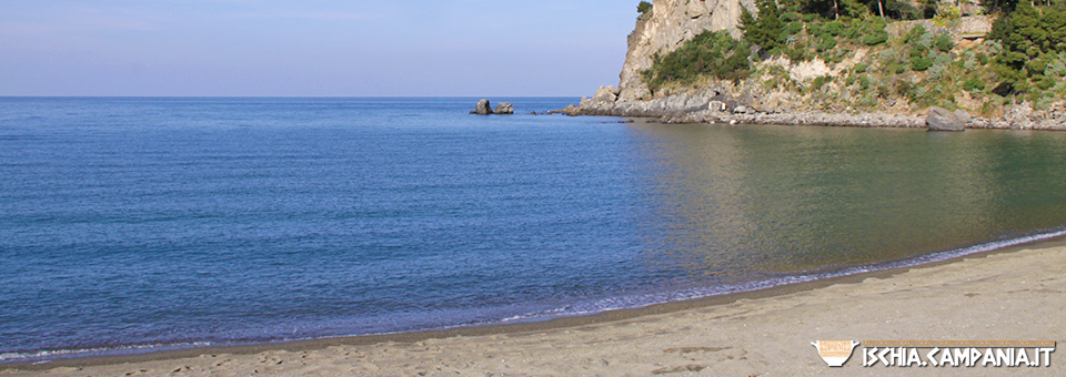 Ischia, vacanze al mare: gli hotel consigliati