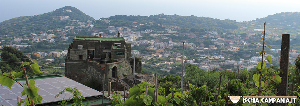 Ischia che non t’aspetti: il borgo del Ciglio a Serrara Fontana