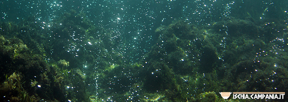 Ischia e il mare del futuro. Le bollicine del Castello