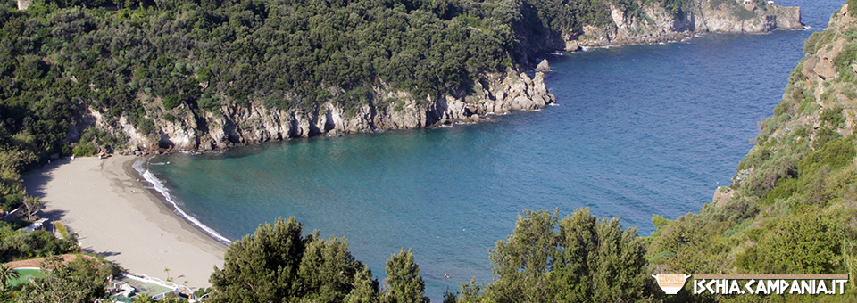 Perché Ischia si chiamava Pithecusa