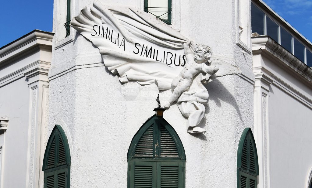 Palazzo Cigliano, Similia Similibus