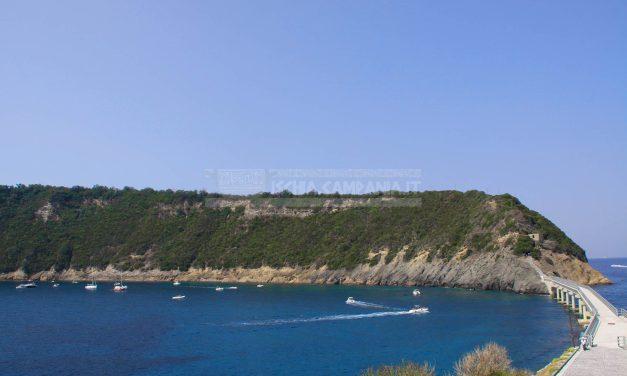 Visitare Vivara, l’isola flegrea disabitata