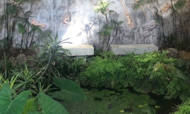 Archeologia e paesaggio di Ischia, il progetto Kepos della Fondazione Walton e La Mortella